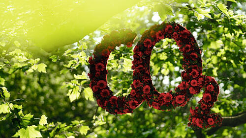 EcoTerra ZERO Film